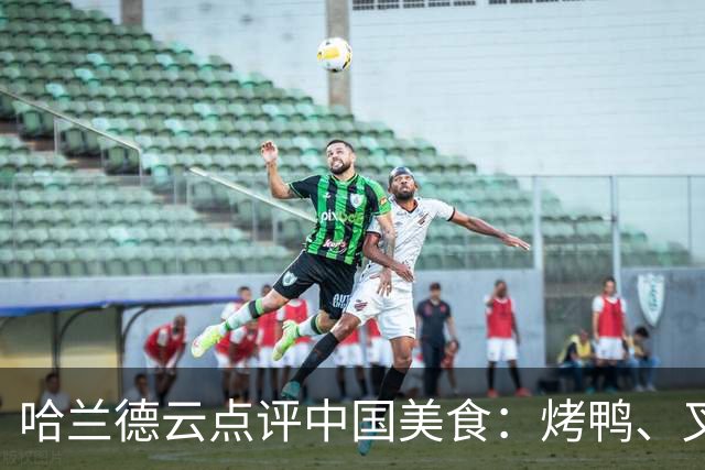 哈兰德云点评中国美食：烤鸭、叉烧、宫保鸡丁、肠粉、西红柿炒蛋