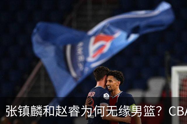张镇麟和赵睿为何无缘男篮？CBA名记分析，道出2个原因